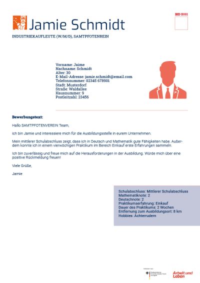 Download: PDF: Personas